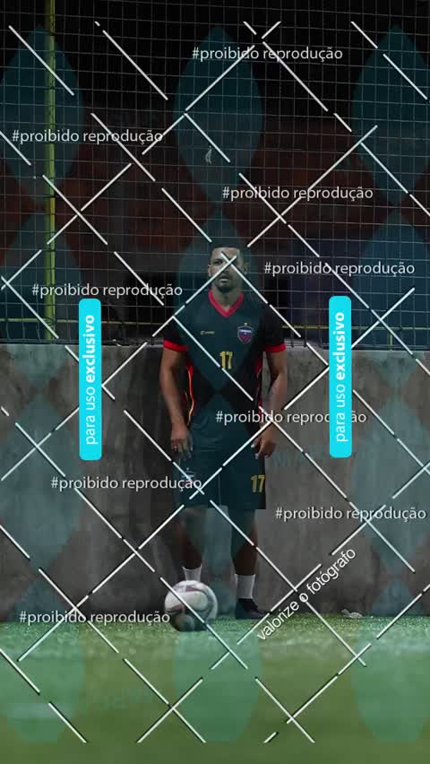 Capa do álbum AMISTOSO - VACARIA