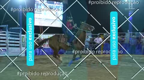 Capa do álbum VIDEOS PROVA DE TAMBOR MOZARLÂNDIA