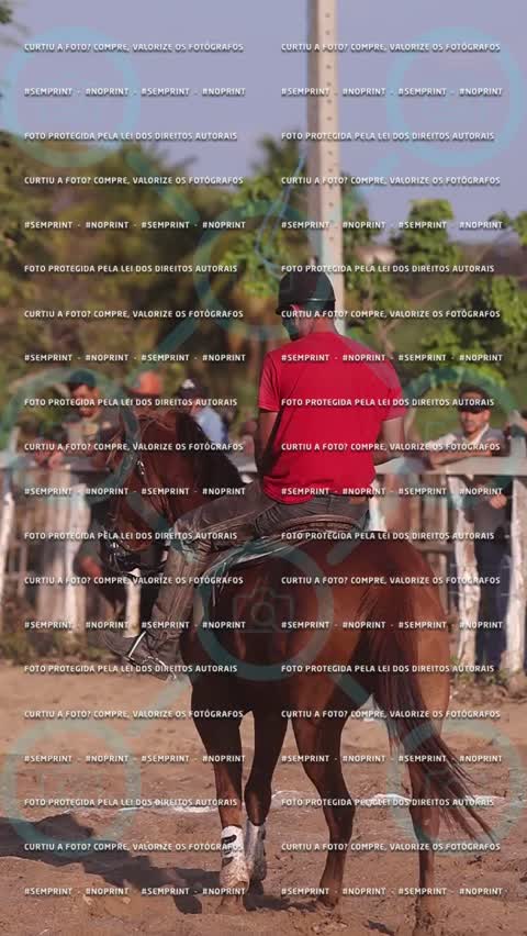 Capa do álbum VAQUEJADA TRADICIONAL I PARQUE BANDEIRANTES