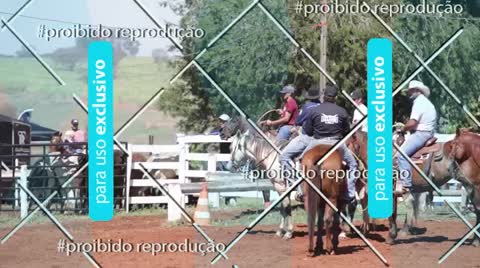 Capa do álbum VIDEOS TEAM ROPING - 1º MANELÃO RODEIO SHOW