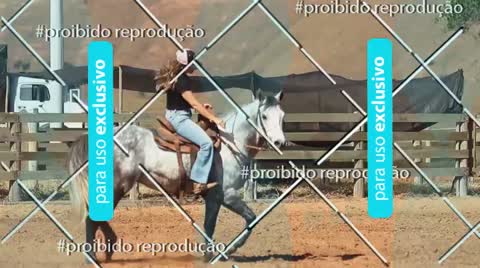 Capa do álbum + VÍDEOS PROVA TAMBOR