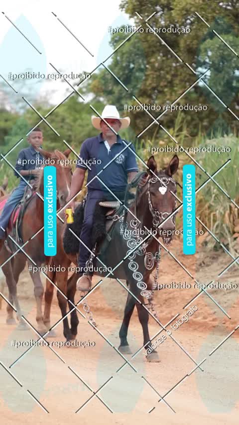 Capa do álbum CAVALGADA DO SURUBIM