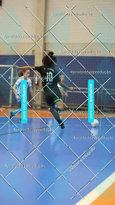 Capa do álbum FPFS ARBOS FUTSAL DESPORTIVO SOROCABA