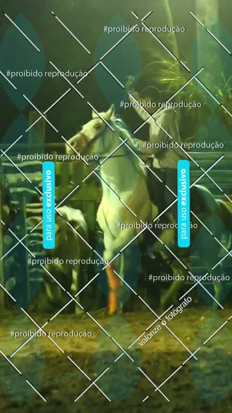 Capa do álbum Fábio Santos