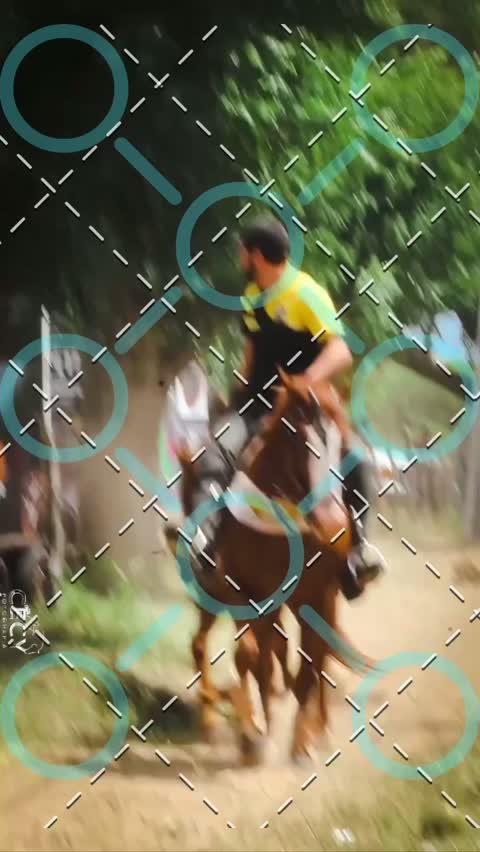 Capa do álbum Raumir filho