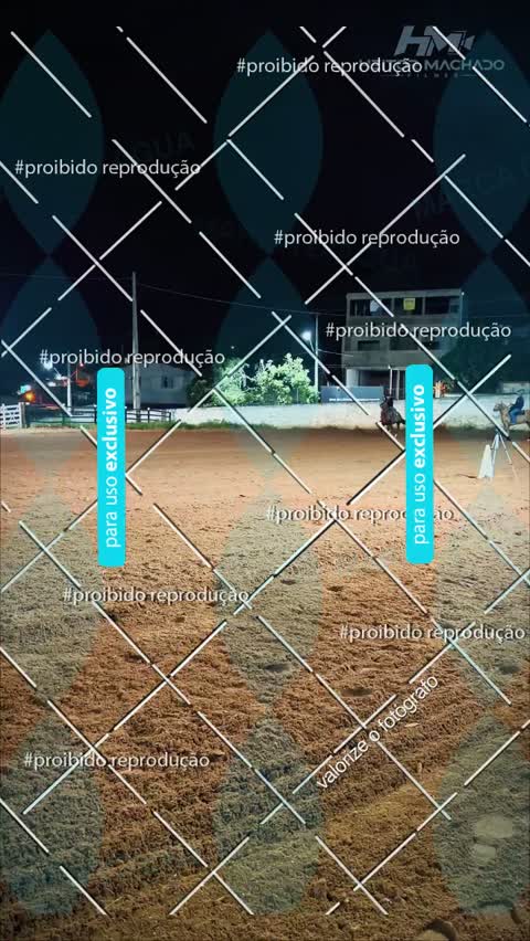 Capa do álbum VÍDEOS SEXTA (31/07) - NOITE (GERAL)