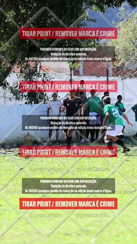Capa do álbum ESTRELA DA SERRA X FERA 10 - MAGEENSE SUB 15