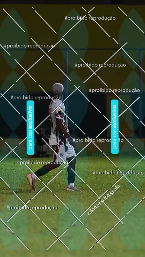 Capa do álbum VIDEOS PENATIS