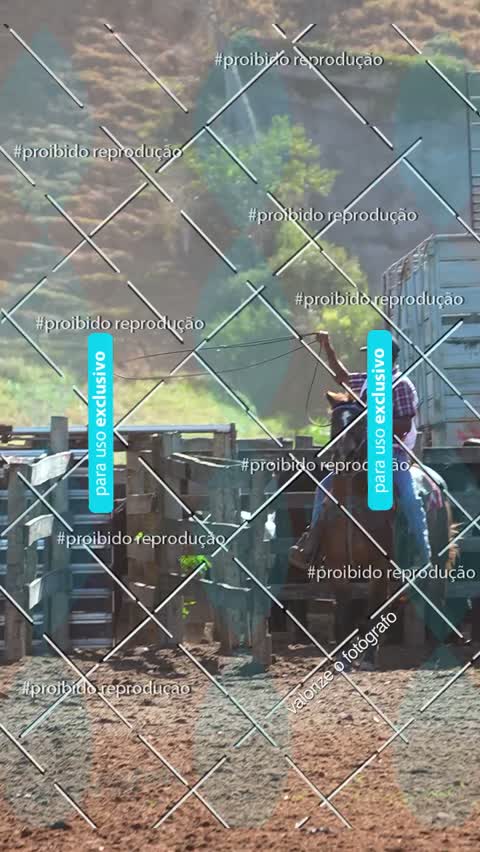 Capa do álbum ROMINHO DO ITAOCA