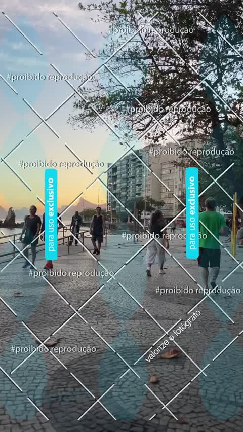Capa do álbum praia de icaraí