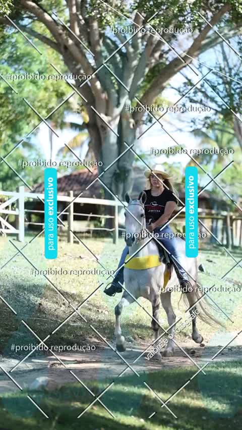 Capa do álbum AGROVET