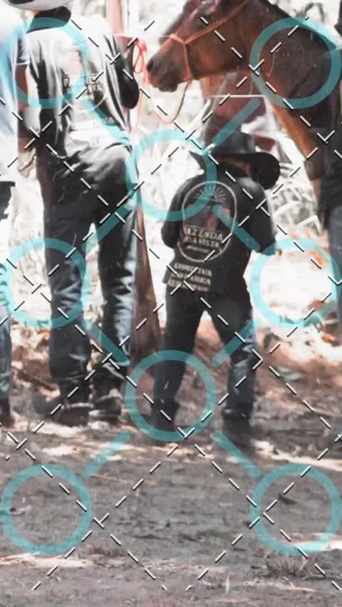 Capa do álbum Cavalgada