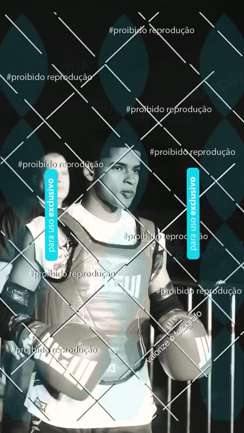 Capa do álbum OURO FIGHT VÍDEOS