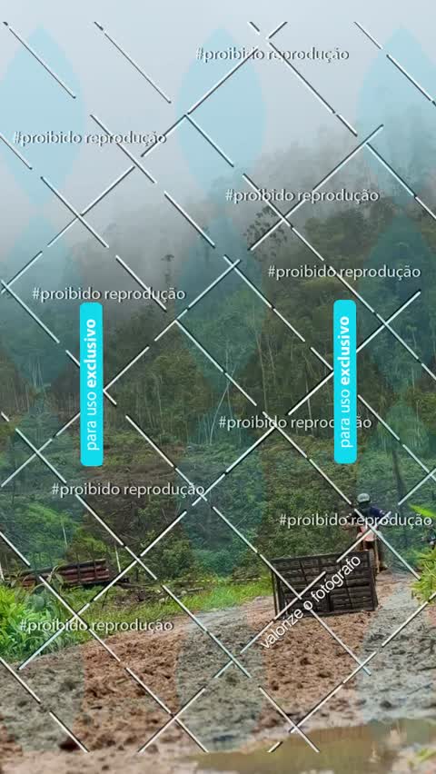 Capa do álbum TIMBÉ LAMA 2026