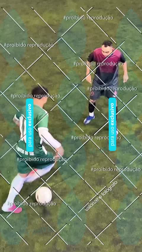 Capa do álbum REVOADA VS 300FC