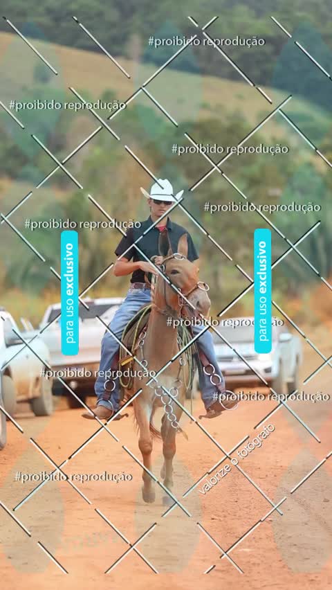 Capa do álbum VÍDEOS CAVALGADA DA ESTRADA VELHA